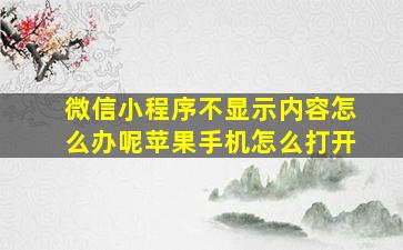 微信小程序不显示内容怎么办呢苹果手机怎么打开