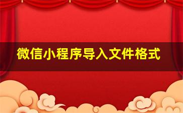 微信小程序导入文件格式