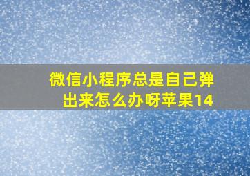 微信小程序总是自己弹出来怎么办呀苹果14