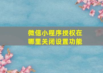 微信小程序授权在哪里关闭设置功能