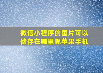 微信小程序的图片可以储存在哪里呢苹果手机