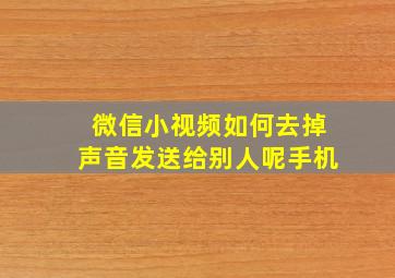 微信小视频如何去掉声音发送给别人呢手机