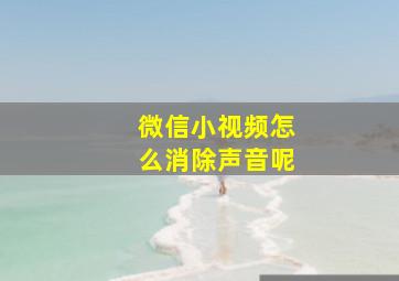 微信小视频怎么消除声音呢