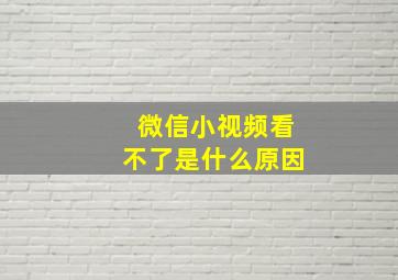 微信小视频看不了是什么原因