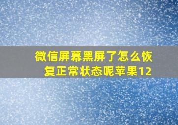 微信屏幕黑屏了怎么恢复正常状态呢苹果12