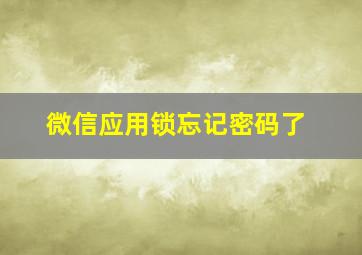 微信应用锁忘记密码了