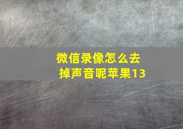 微信录像怎么去掉声音呢苹果13