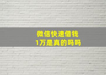 微信快速借钱1万是真的吗吗