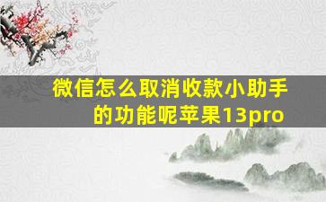 微信怎么取消收款小助手的功能呢苹果13pro