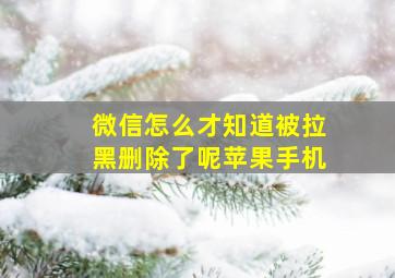 微信怎么才知道被拉黑删除了呢苹果手机