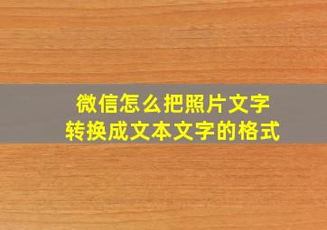 微信怎么把照片文字转换成文本文字的格式