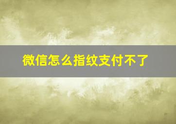 微信怎么指纹支付不了