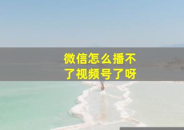 微信怎么播不了视频号了呀