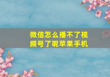 微信怎么播不了视频号了呢苹果手机