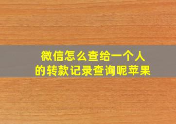 微信怎么查给一个人的转款记录查询呢苹果