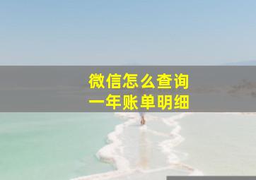 微信怎么查询一年账单明细