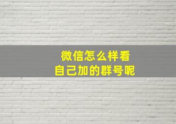 微信怎么样看自己加的群号呢