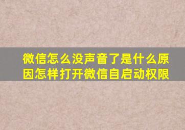 微信怎么没声音了是什么原因怎样打开微信自启动权限