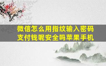 微信怎么用指纹输入密码支付钱呢安全吗苹果手机