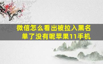 微信怎么看出被拉入黑名单了没有呢苹果11手机