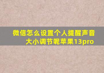 微信怎么设置个人提醒声音大小调节呢苹果13pro