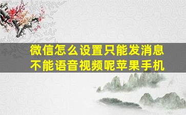 微信怎么设置只能发消息不能语音视频呢苹果手机