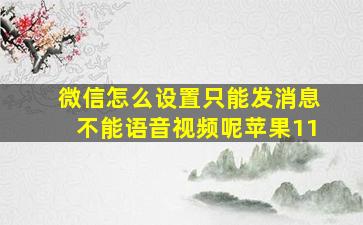 微信怎么设置只能发消息不能语音视频呢苹果11