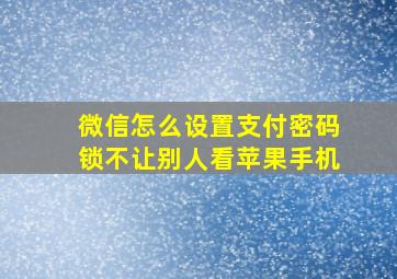 微信怎么设置支付密码锁不让别人看苹果手机