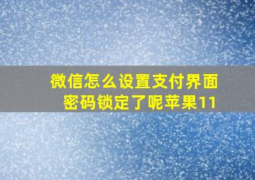 微信怎么设置支付界面密码锁定了呢苹果11