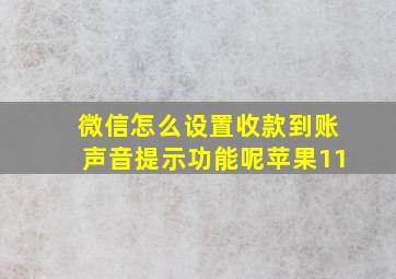 微信怎么设置收款到账声音提示功能呢苹果11