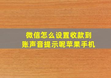 微信怎么设置收款到账声音提示呢苹果手机