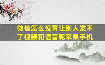 微信怎么设置让别人发不了视频和语音呢苹果手机