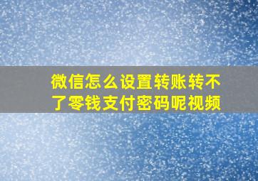 微信怎么设置转账转不了零钱支付密码呢视频