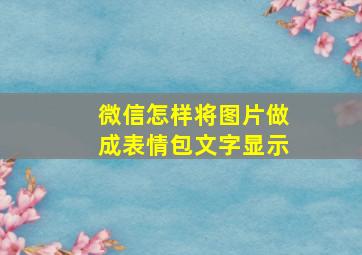 微信怎样将图片做成表情包文字显示