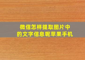 微信怎样提取图片中的文字信息呢苹果手机