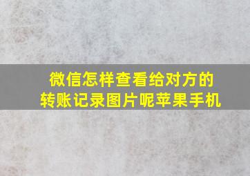 微信怎样查看给对方的转账记录图片呢苹果手机