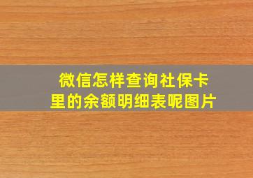 微信怎样查询社保卡里的余额明细表呢图片