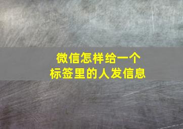 微信怎样给一个标签里的人发信息