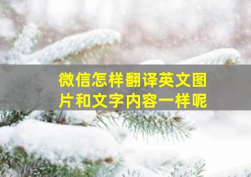 微信怎样翻译英文图片和文字内容一样呢