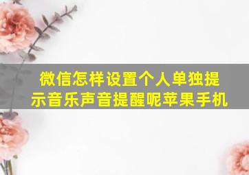 微信怎样设置个人单独提示音乐声音提醒呢苹果手机