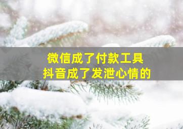 微信成了付款工具 抖音成了发泄心情的