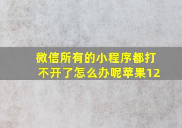 微信所有的小程序都打不开了怎么办呢苹果12