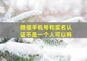 微信手机号和实名认证不是一个人可以吗