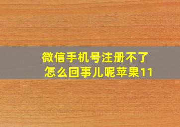 微信手机号注册不了怎么回事儿呢苹果11