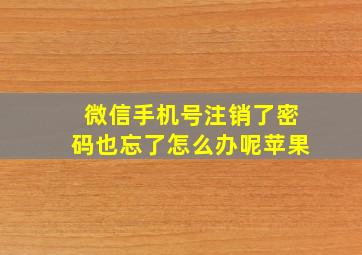 微信手机号注销了密码也忘了怎么办呢苹果