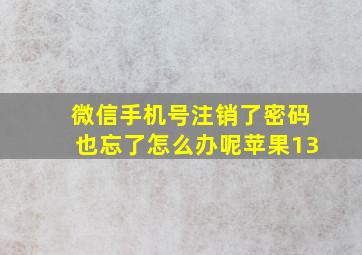 微信手机号注销了密码也忘了怎么办呢苹果13