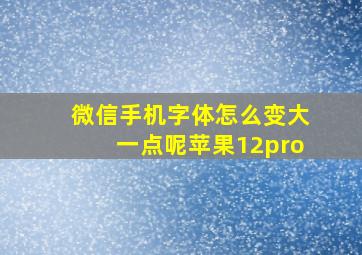 微信手机字体怎么变大一点呢苹果12pro