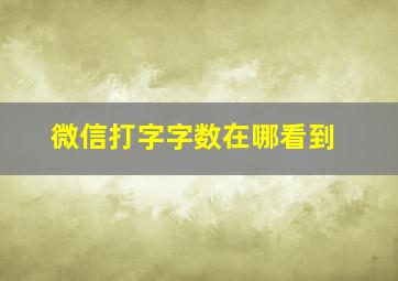 微信打字字数在哪看到