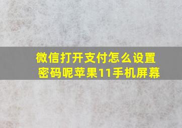 微信打开支付怎么设置密码呢苹果11手机屏幕