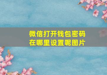 微信打开钱包密码在哪里设置呢图片